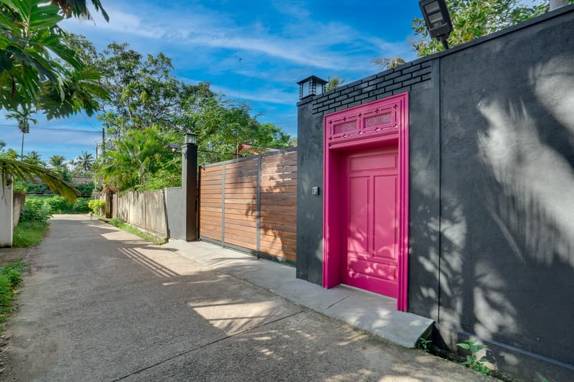 Macro photography of nature